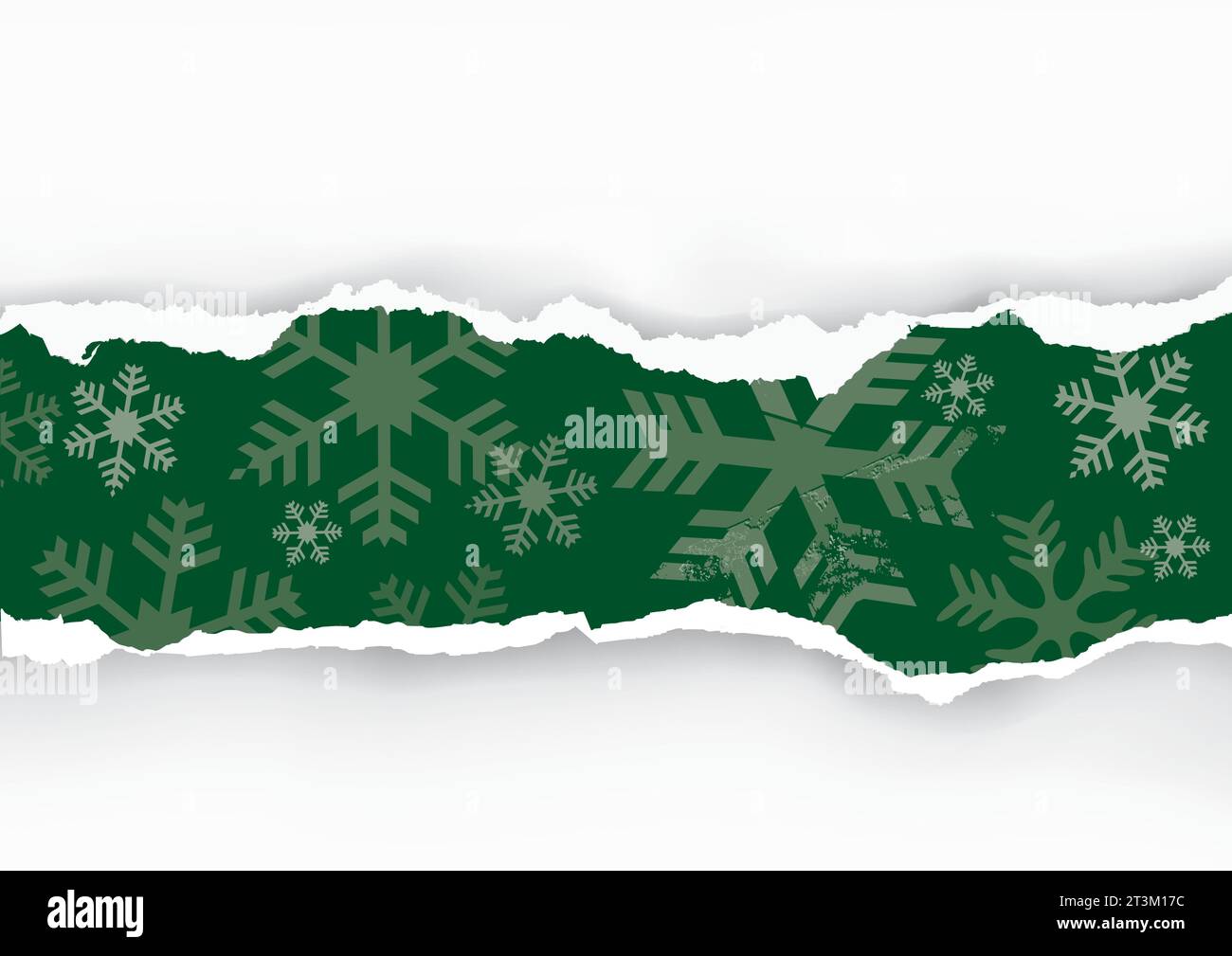 Striscia di carta strappata a Natale con fiocchi di neve. Immagine dello sfondo di carta verde natalizia con il posto per il testo o l'immagine. Vettore disponibile. Illustrazione Vettoriale