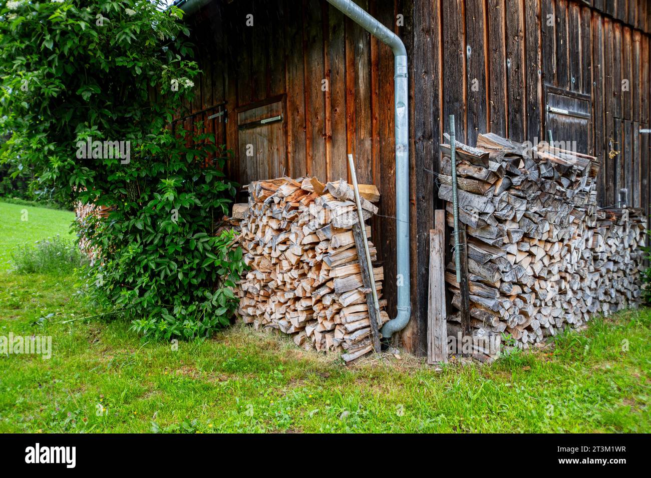 Immagine simbolica: Legna da ardere immagazzinata in pali ai margini di un capannone in una zona rurale, esemplificata da una capanna vicino a Maierhöfen nella parte occidentale di Allgäu, Baviera, Germania. Foto Stock Immagine simbolica: Legna da ardere immagazzinata in pali ai margini di un capannone in una zona rurale, esemplificata da una capanna vicino a Maierhöfen nella parte occidentale di Allgäu, Baviera, Germania. Foto Stock