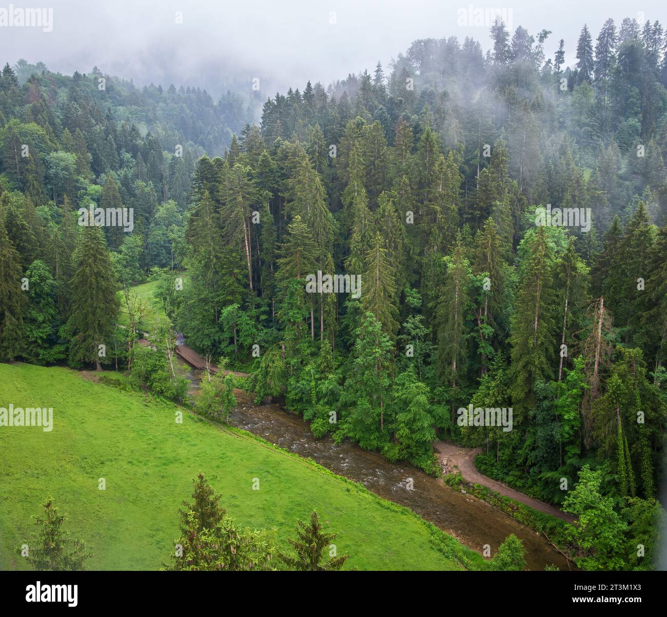Paesaggio naturale e vista verso la gola di Eistobel nell'omonima riserva naturale nella zona occidentale di Allgäu, vicino a Maierhöfen, Baviera, Germania. Foto Stock