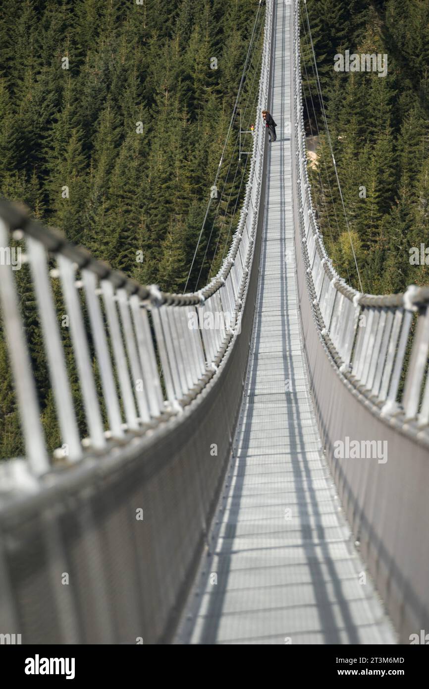 Ponte sospeso più lungo del 721. .Ponte sospeso pilastri di ferro di Sky Bridge 721, Dolni Morava, Repubblica Ceca, primo piano. Foto Stock