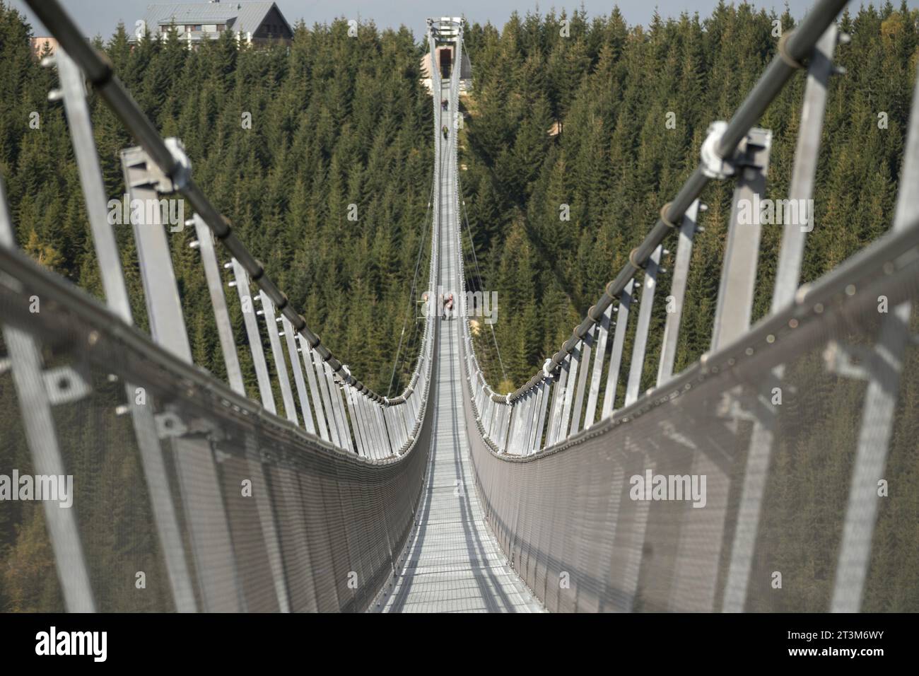 Ponte sospeso più lungo del 721. .Ponte sospeso pilastri di ferro di Sky Bridge 721, Dolni Morava, Repubblica Ceca, primo piano. Foto Stock