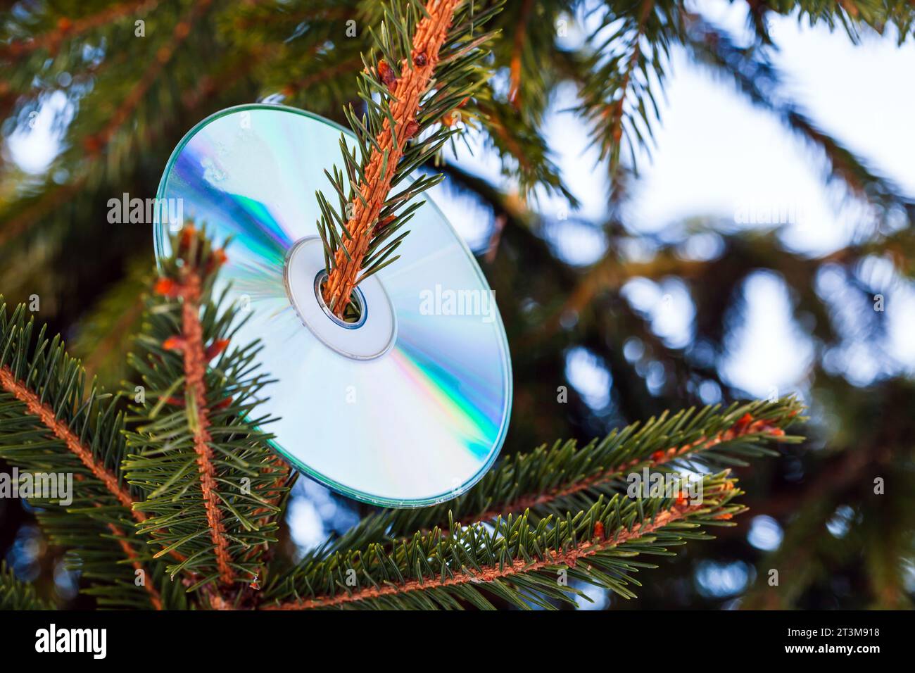 Il CD è su un ramo dell'albero di Natale. Foto di sottofondo della festa musicale di felice anno nuovo Foto Stock