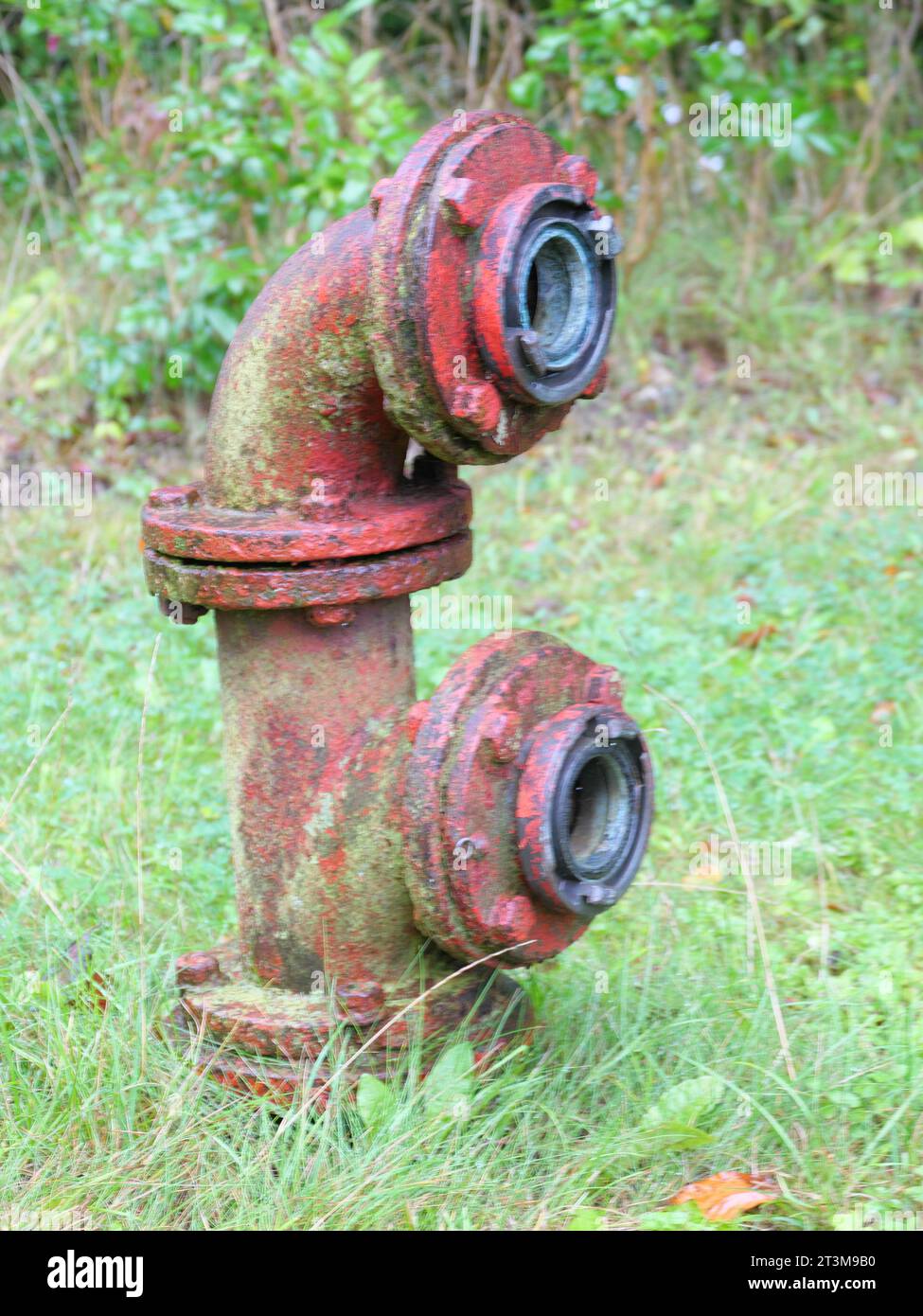 Vecchio idrante rosso mossy come raccordo per i vigili del fuoco per tubo antincendio Foto Stock