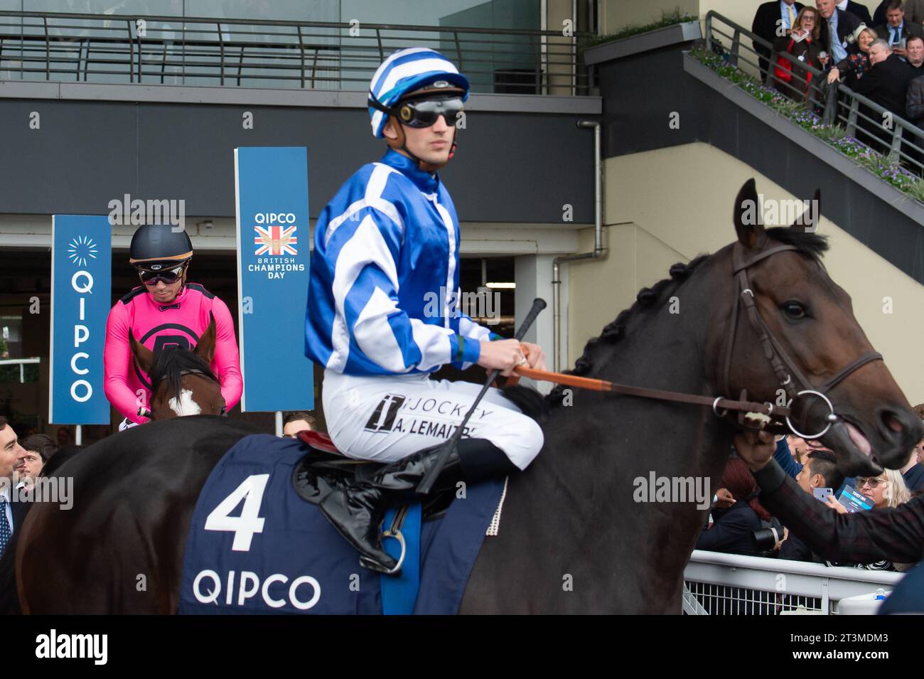 Ascot, Regno Unito. 21 ottobre 2023. Cavallo Big Rock guidato dal fantino Aurelien Lemaitre prima di vincere la Queen Elizabeth II Stakes al QIPCO British Champions Day. Proprietario Yeguada Centurion. Allenatore Christopher Head, Francia. Allevatore Yeguada Centurioun SLU. Credito: Maureen McLean/Alamy Foto Stock