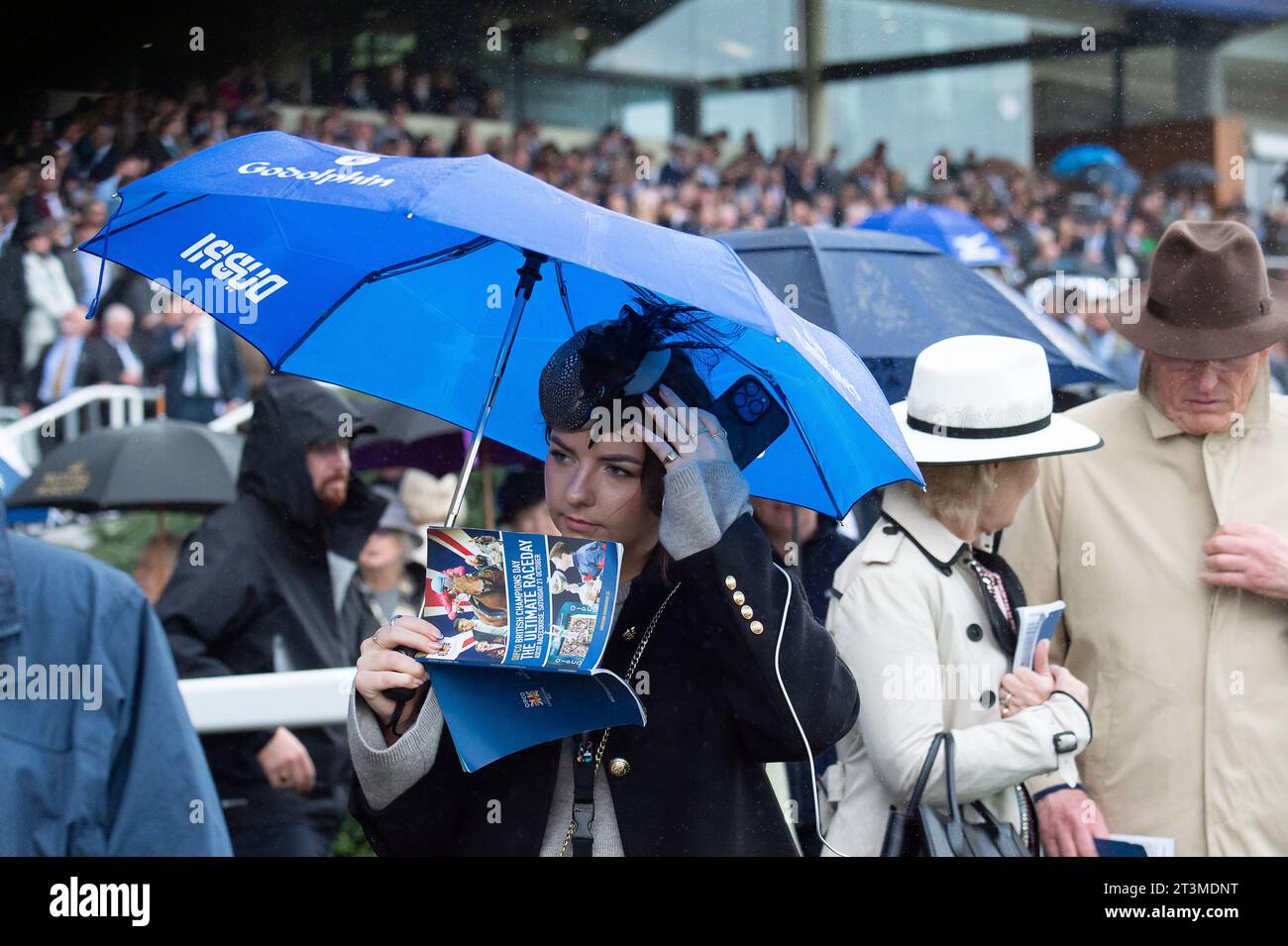 Ascot, Berkshire, Regno Unito. 21 ottobre 2023. Un'automobilista guarda la sua scheda di corse al QIPCO British Champions Day all'ippodromo di Ascot. Credito: Maureen McLean/Alamy Foto Stock