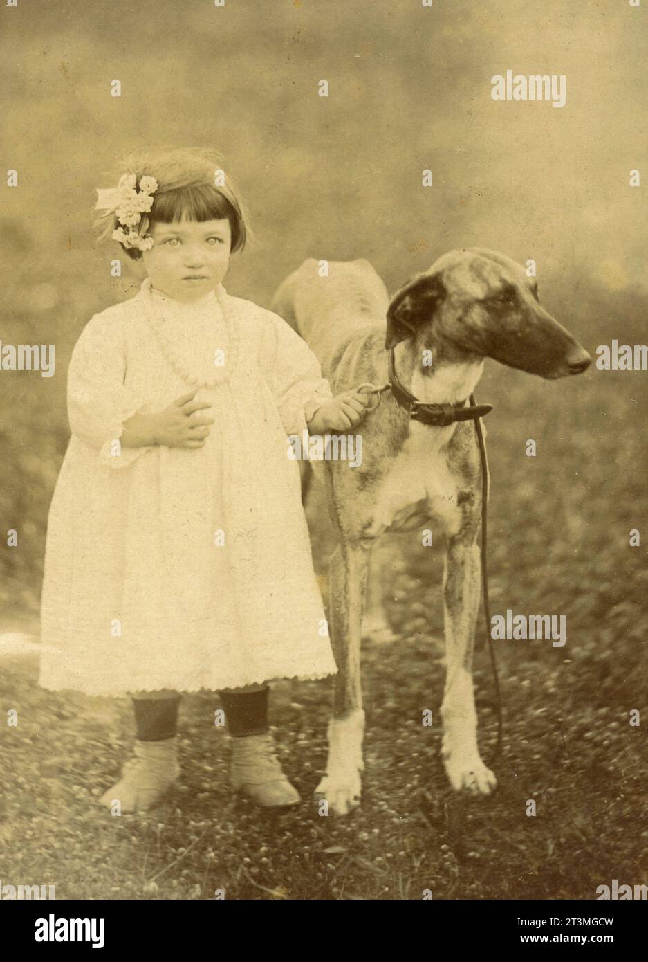 Piccola ragazza vestita di bianco con un cane, Italia anni '1900 Foto Stock