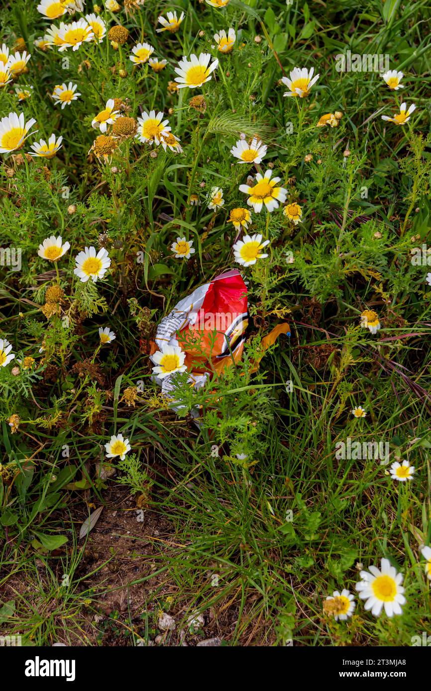 Colorata borsa vuota per spuntini gettata in un campo di fiori di platyglossa Layia. Giornata mondiale dell'ambiente, concetto ecologico, inquinamento Foto Stock