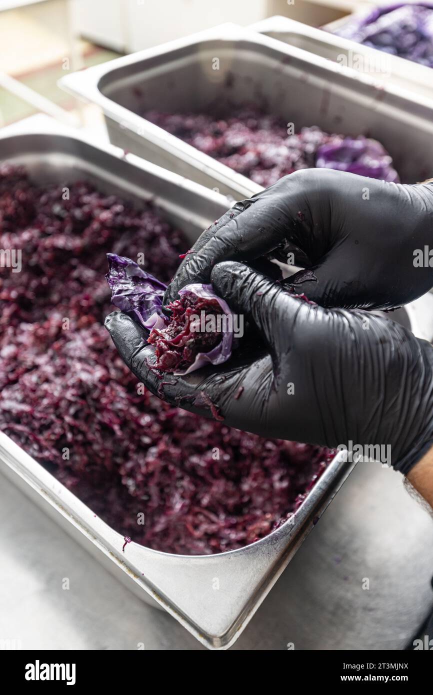 Cavolo rosso brasato ripieno in foglia di cavolo rosso sul bancone della cucina del ristorante Foto Stock