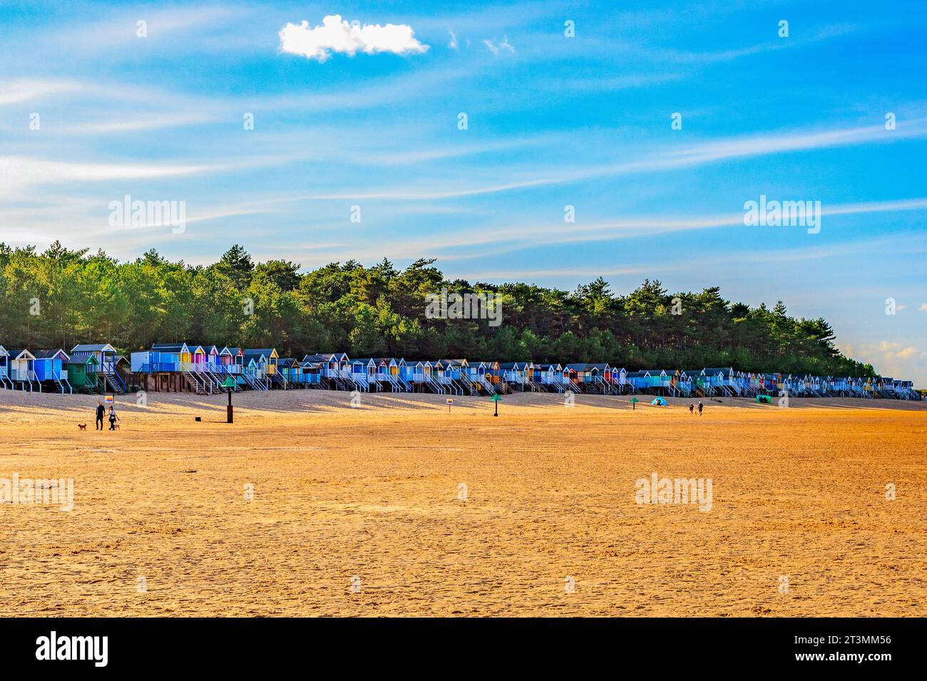 Un'enorme linea di capanne colorate sulla spiaggia di Wells-Next-the-Sea, Norfolk, Inghilterra, Regno Unito Foto Stock