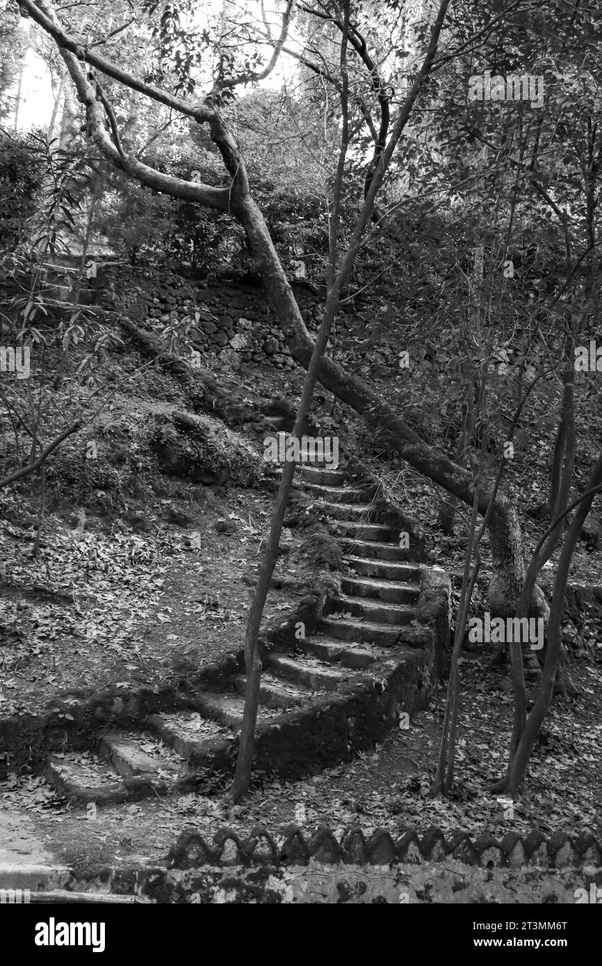 Scala a chiocciola in bianco e nero nel verde incantato giardino forestale, Parco Rodini, Rodi, Grecia in bianco e nero Foto Stock