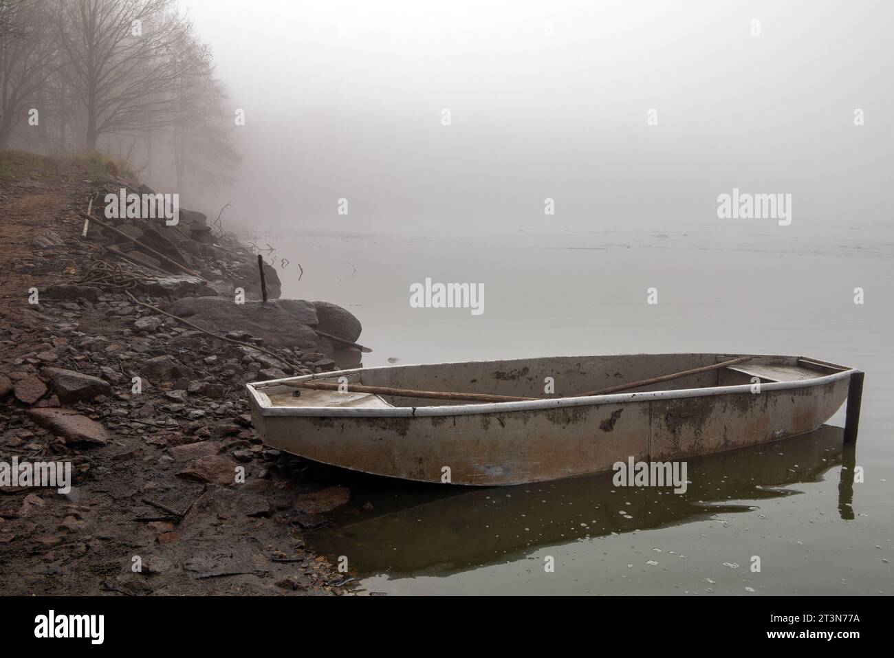 laghetto drenato, nebbia sopra lo stagno, paesaggio autunnale vicino allo stagno drenato, puntato dal laghetto Foto Stock