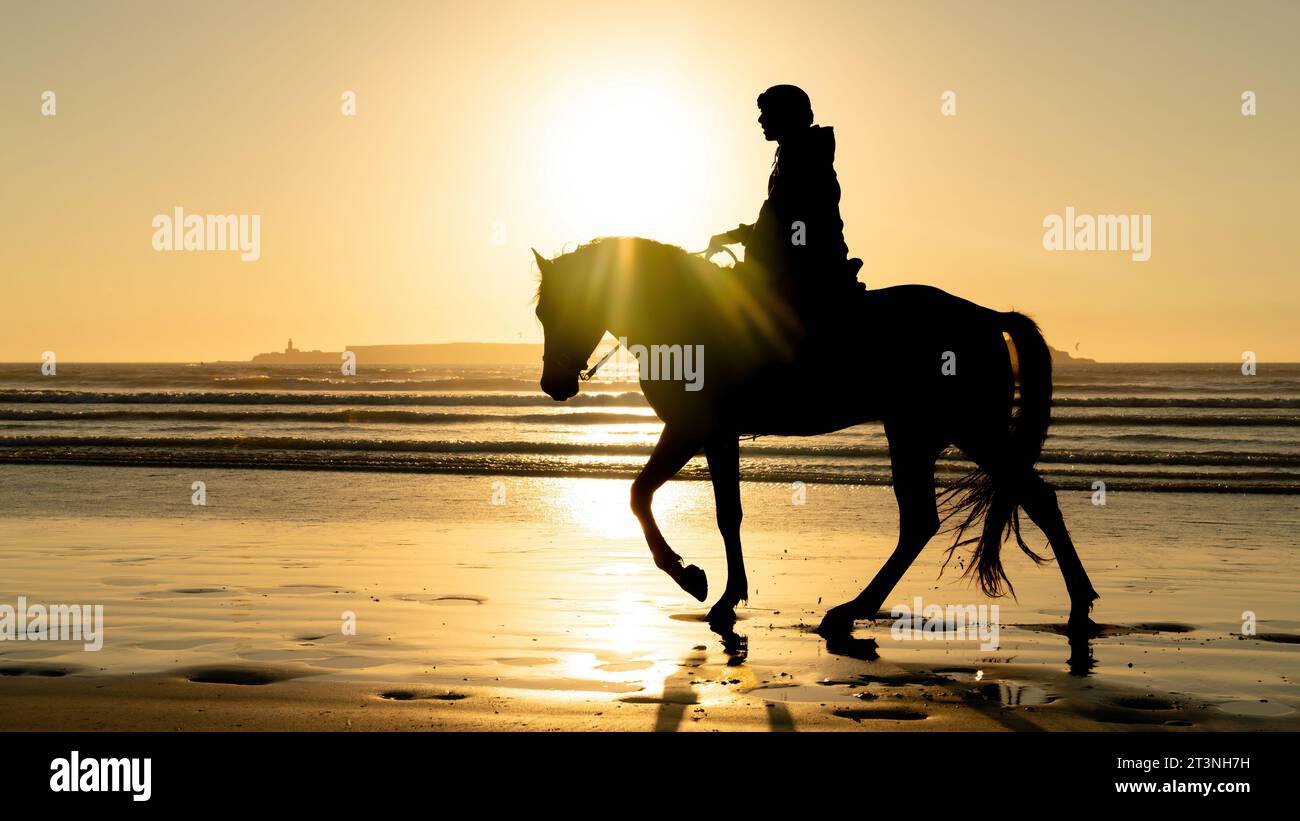 Silhouette di un cavallo e cavaliere non identificato sulla spiaggia di Essaouira Mogador, Marocco Foto Stock