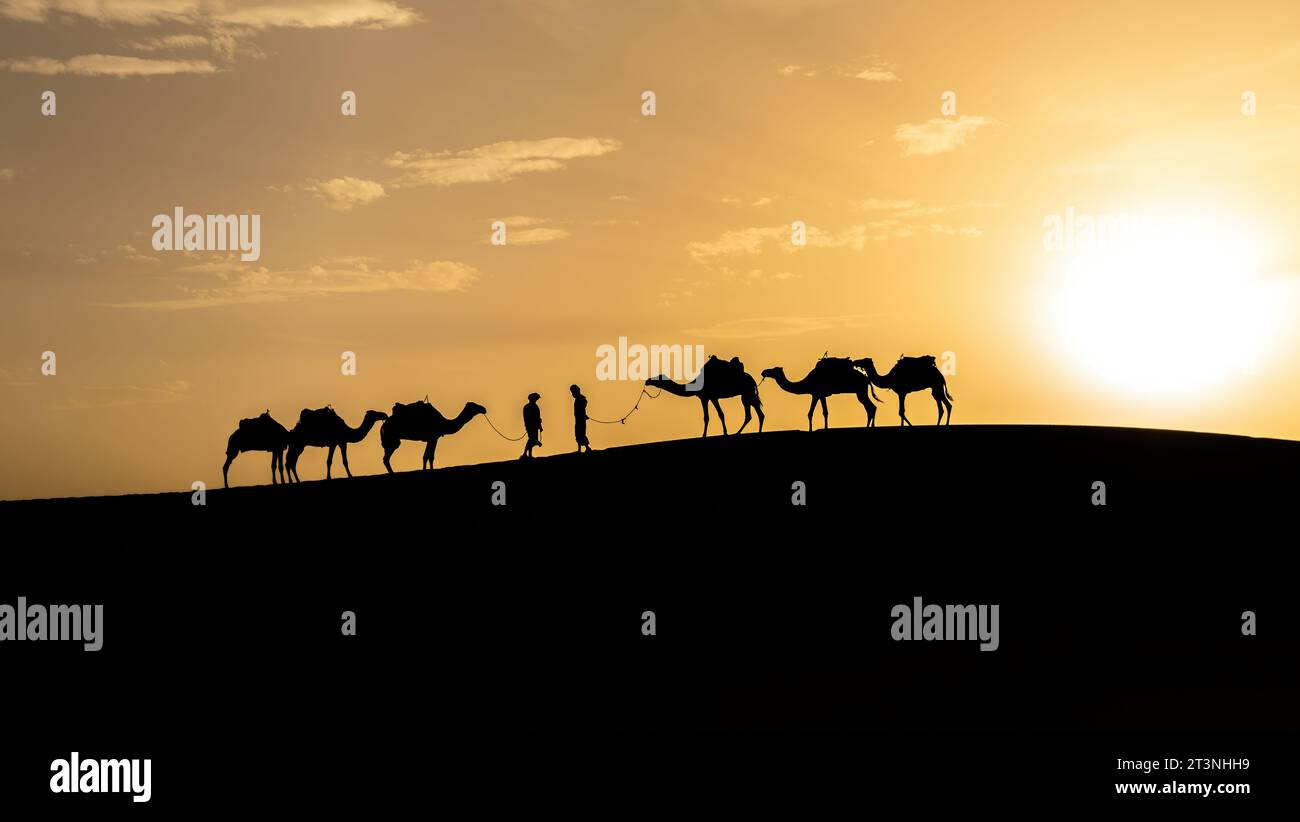 La silhouette di due uomini berberberi che guidano carovane di cammello si incontrano sulle dune di sabbia al tramonto nel deserto del Sahara, in Marocco Foto Stock