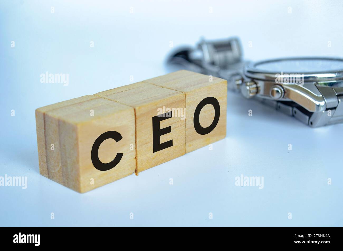 Testo del CEO su cubi di legno che rappresentano il CEO con spazio personalizzabile per il testo. Spazio di copia e concetto di gestione senior. Foto Stock