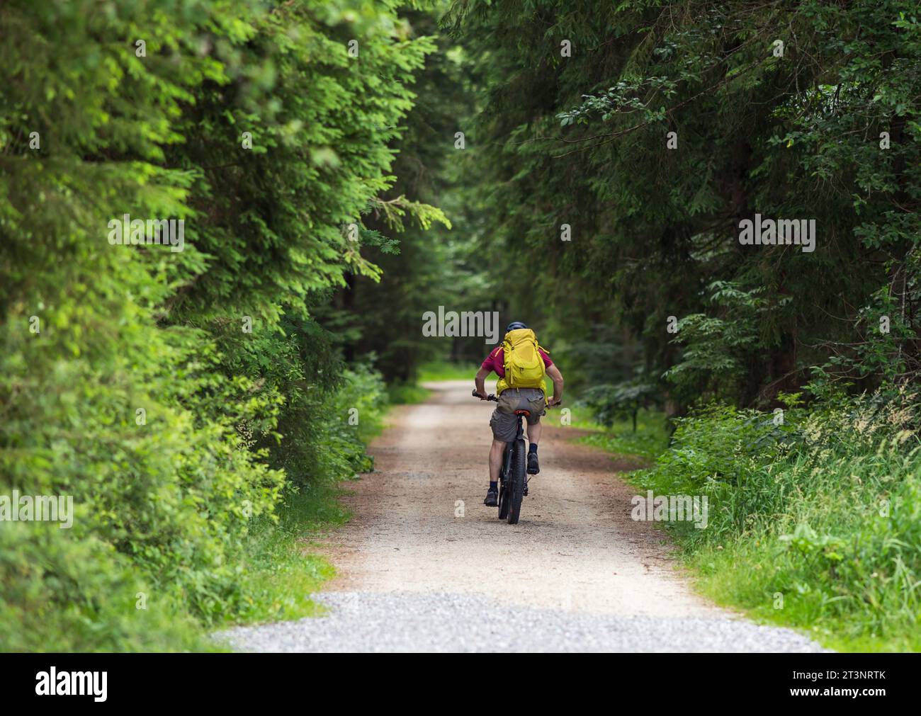 Vista posteriore della bicicletta senior man nella foresta in estate. Stile di vita sano all'aperto Foto Stock