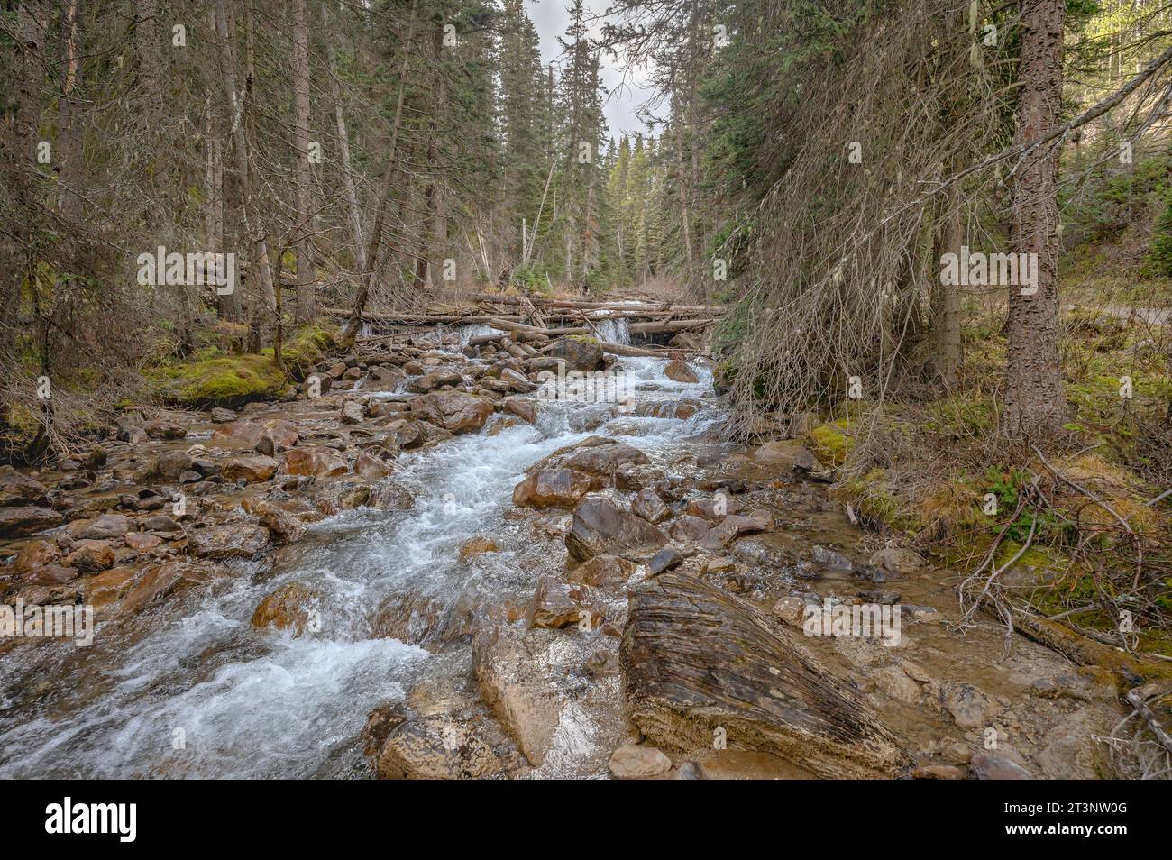 Acqua che scorre dal lago Louise nel Parco Nazionale di Banff, Alberta, Canada Foto Stock