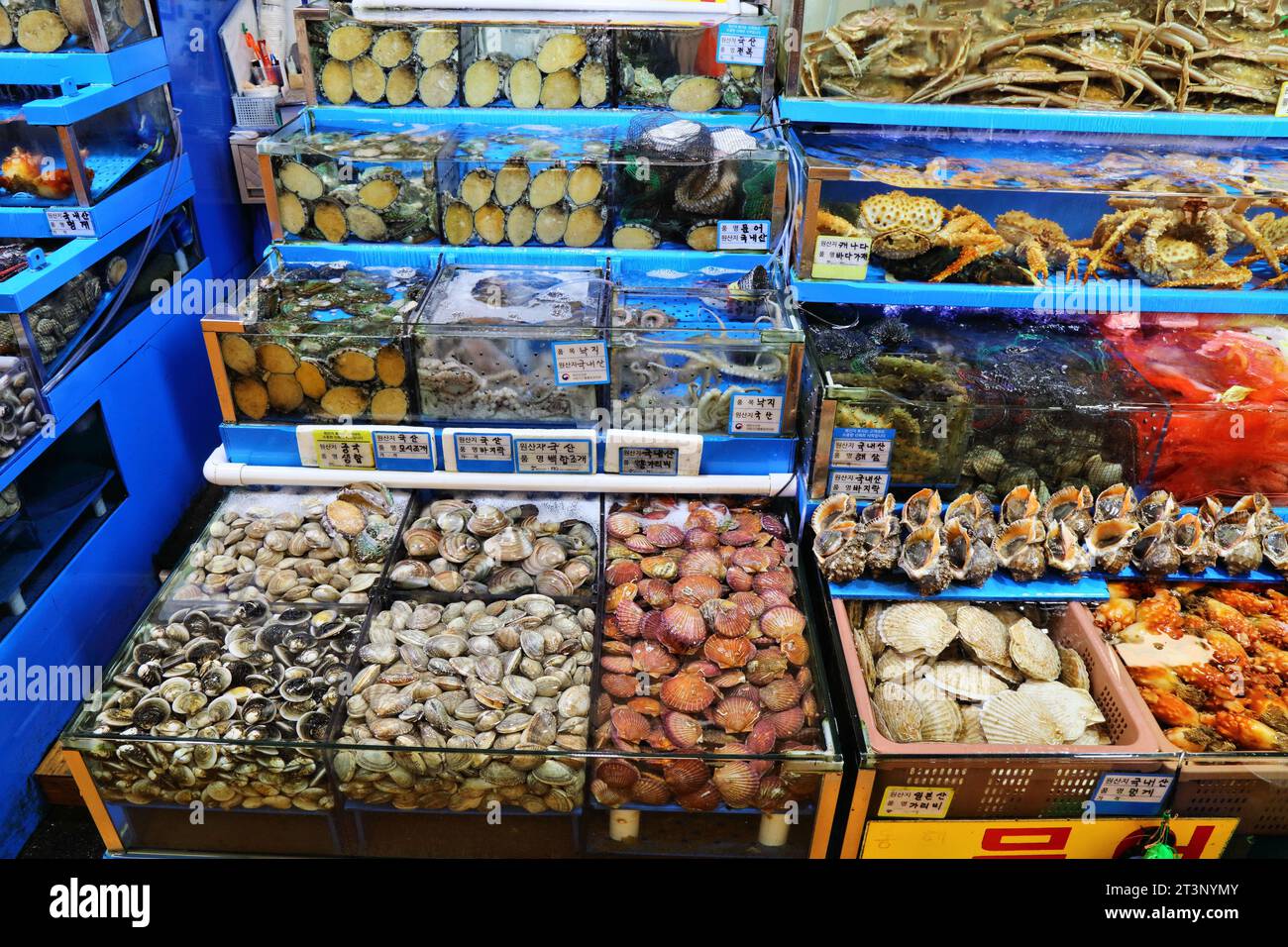 SEUL, COREA DEL SUD - 5 APRILE 2023: Vari molluschi, granchi e polpi al Noryangjin Fisheries Wholesale Market di Seul. È uno dei più grandi fis Foto Stock