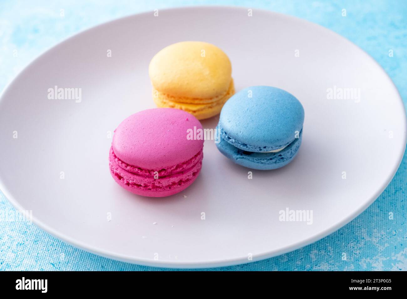 tre macaron di colore diverso su un piatto rosa su sfondo blu Foto Stock