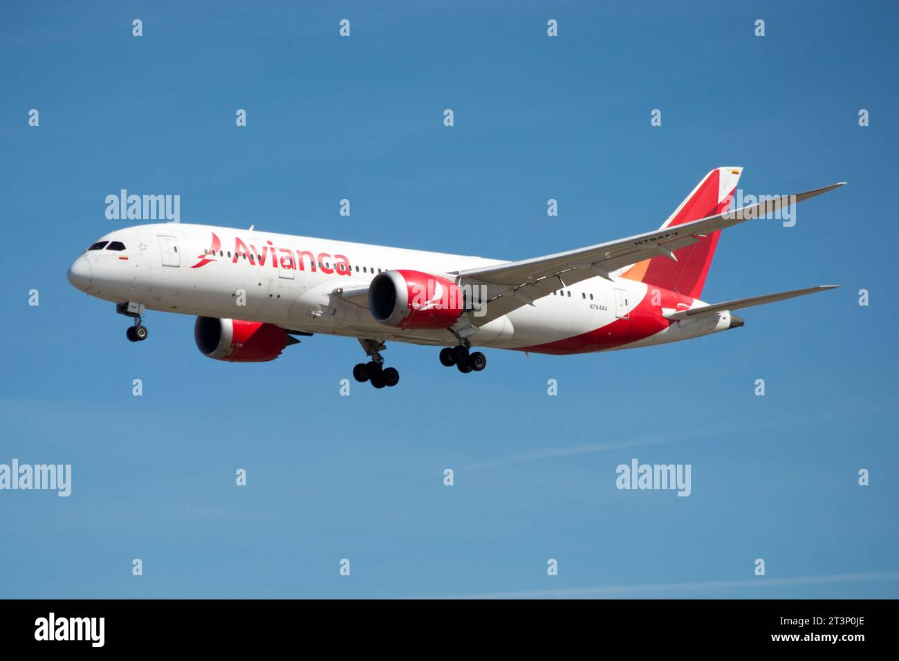 Avión de Línea de la aerolínea Avianca Boeing 787 aterrizando Foto Stock