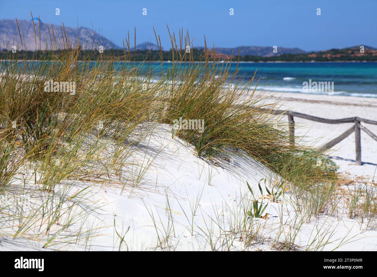 Dune di sabbia della spiaggia di la Cinta in Sardegna. Regione Costa Smeralda dell'isola Sardegna. Foto Stock