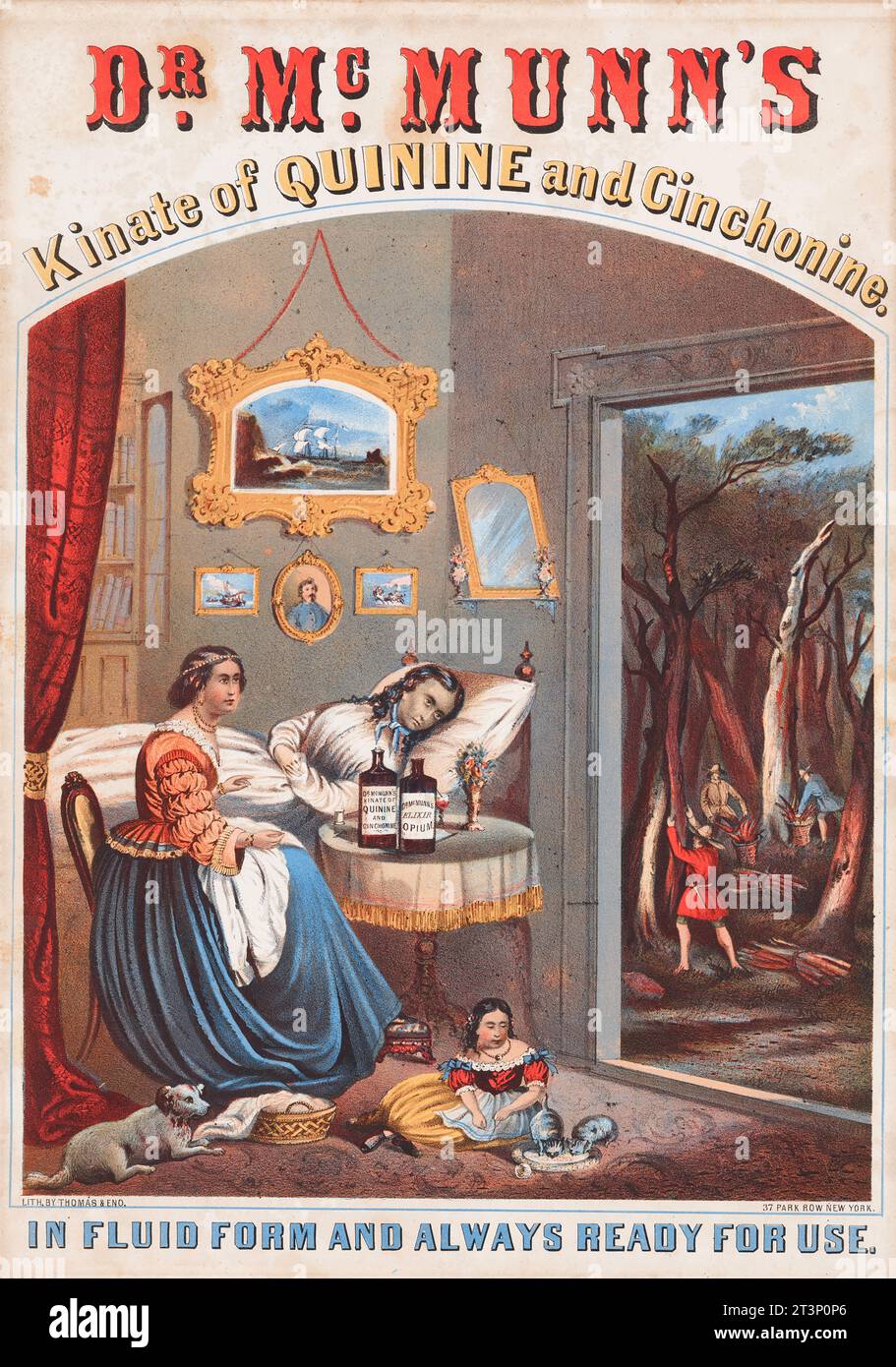 Poster pubblicitario medico, per tonici chinini e cinchonini dell'epoca vittoriana. c1800 Foto Stock
