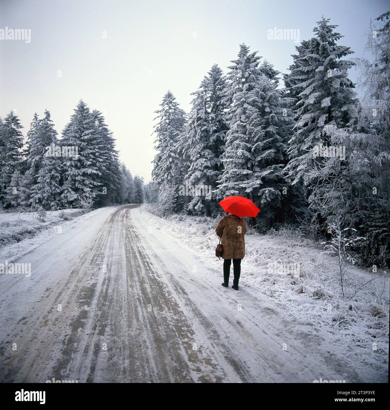 Polonia. Scena invernale sulla neve. Vista posteriore della donna che cammina con l'ombrello rosso. Foto Stock