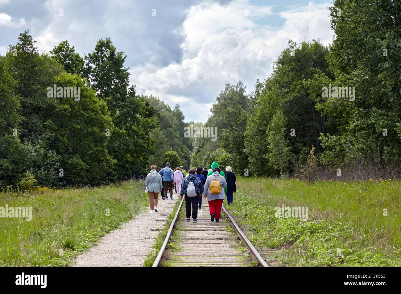 Un gruppo di emigranti si sposta lungo i binari ferroviari abbandonati nella foresta Foto Stock