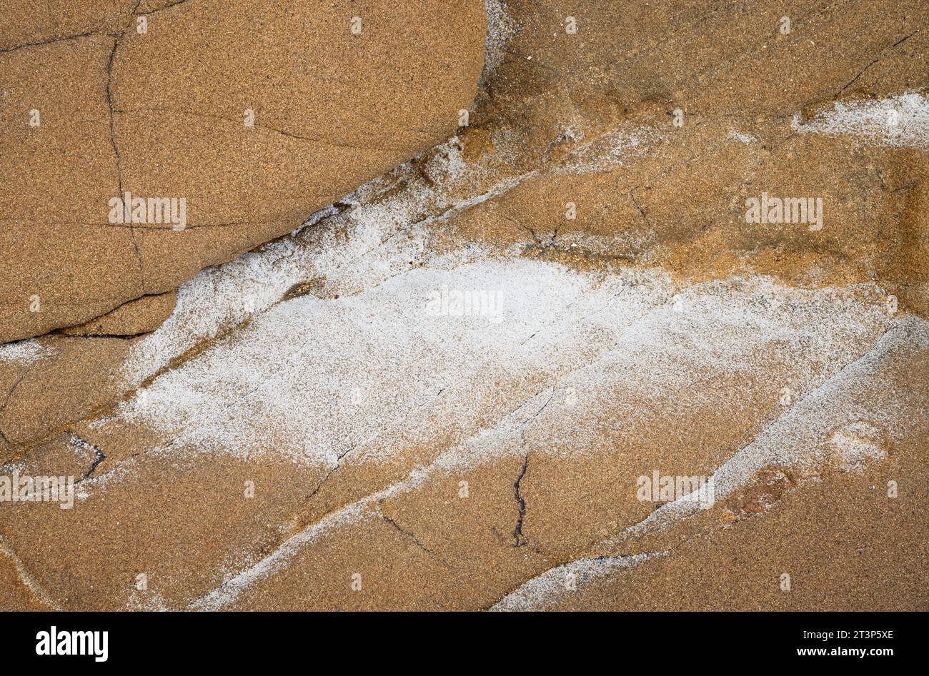 Sale marino essiccato su arancia, arenaria incrinata Foto Stock