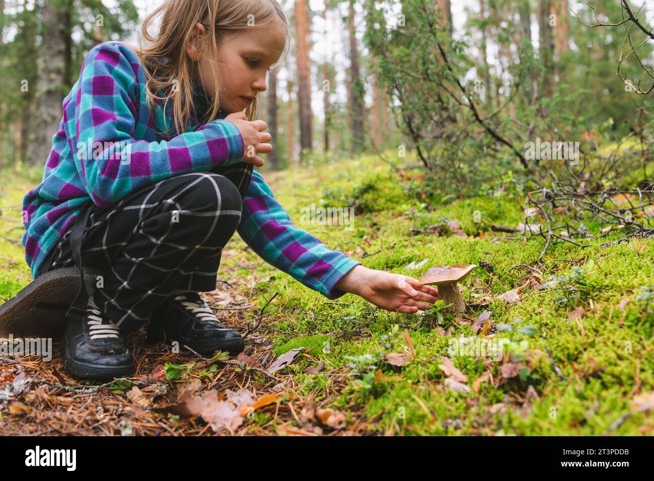 La ragazza dell'età elementare ha trovato il fungo commestibile Boletus edulis (cep o penny bun) mentre campeggiava in una foresta Foto Stock