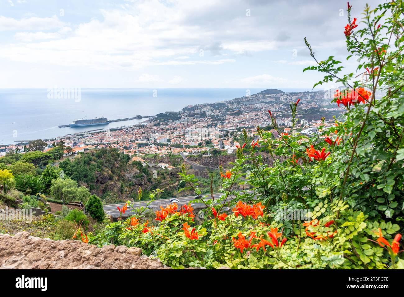 Panorama della città da Jardim Botânico da Madeira (Giardino Botanico di Madeira), Monte, Funchal, Madeira, Portogallo Foto Stock