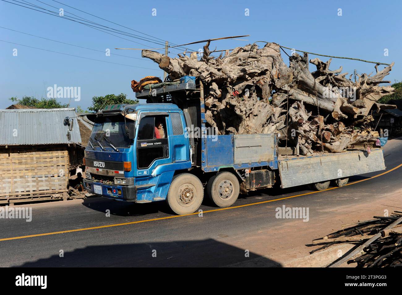 Laos, deforestazione LAO PDR, Oudomxay, Khmu Village Houyta, trasporto di legname radicale in Cina *** LAOS, Provinz Oudomxay, Dorf Houyta, Transport von Holz und Wurzelholz nach China Houyta Oudomxay Laos Credit: Imago/Alamy Live News Foto Stock