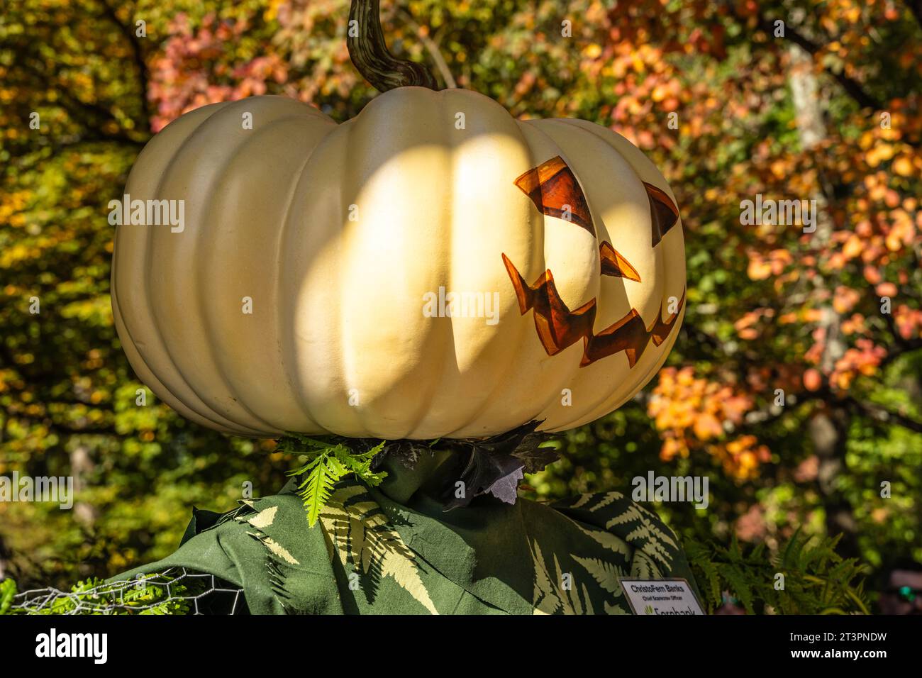 Spaventapasseri a testa di zucca dal Fernbank di Atlanta presso l'Atlanta Botanical Garden di Midtown Atlanta, Georgia. (USA) Foto Stock