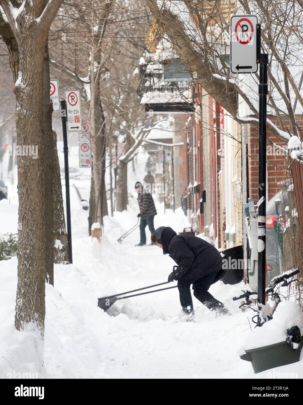 Gli uomini puliscono la neve dai loro vialetti d'inverno, dopo una tempesta di neve sull'altopiano Mont-Royal, a Montreal, provincia di Quebec, Canada. Foto Stock