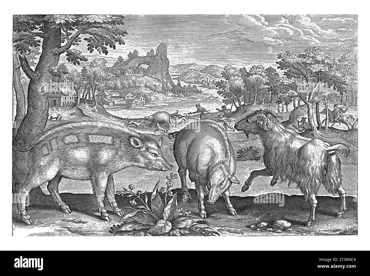 Capra e cinghiale, Adriaen Collaert, 1595 - 1599 due cinghiali e una capra. Sullo sfondo un paesaggio con un fiume e una caccia al cinghiale. Foto Stock
