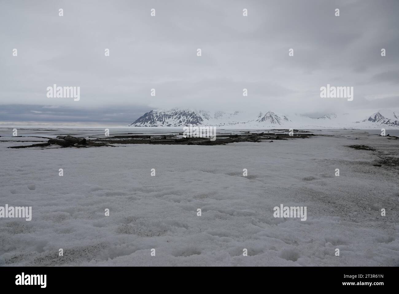 Artic Foto Stock