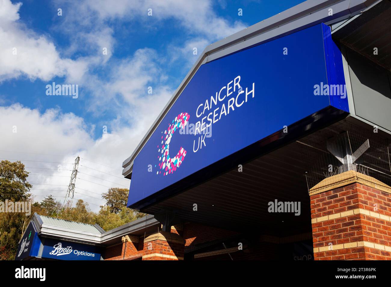 Cancer Research UK, negozio di beneficenza - Torquay Wren retail Park Foto Stock