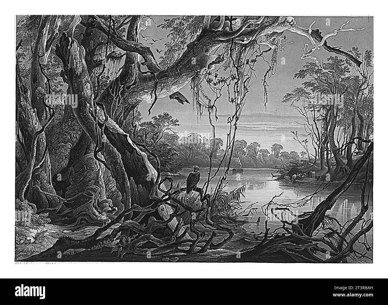 Vista della foce del fiume Fox all'Indiana, Sigismond Himely, dopo Karl Bodmer, 1811 - 1872 Foto Stock