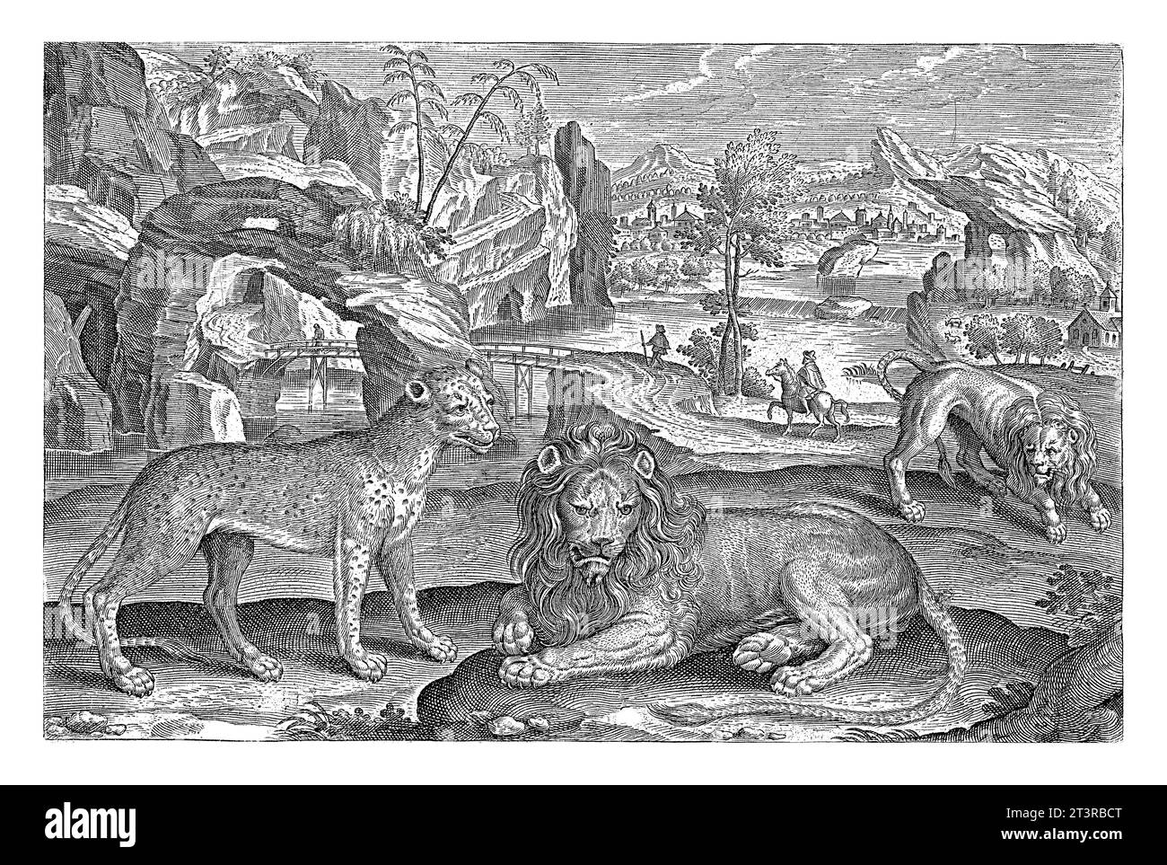 Leoni e leopardo, Adriaen Collaert, 1595 - 1633 due leoni e un leopardo in primo piano. Sullo sfondo un paesaggio con un fiume. Foto Stock