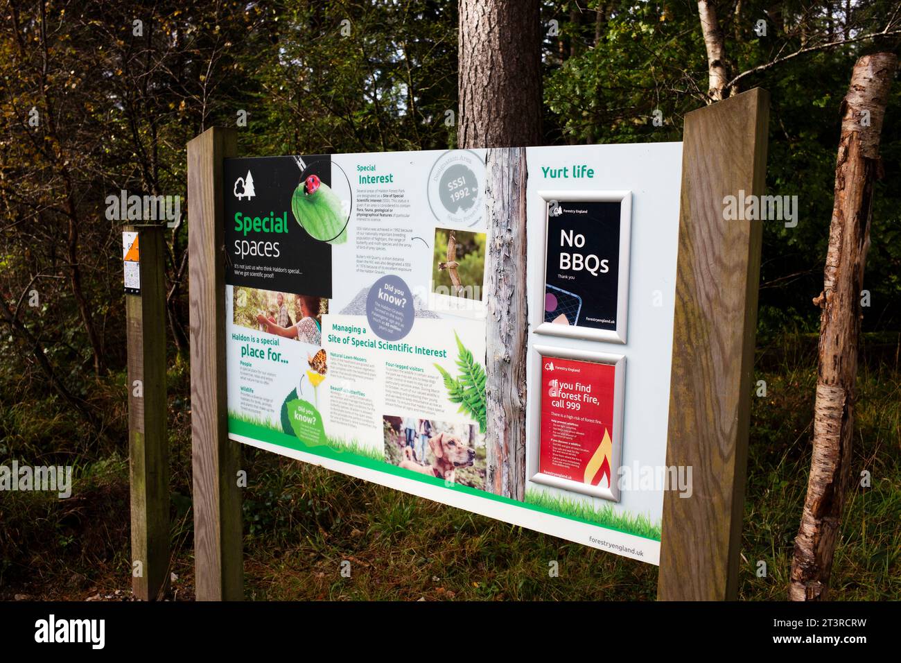 Foresta di Haldon nel Devon - bacheca informativa sulla foresta e il sito naturale Foto Stock