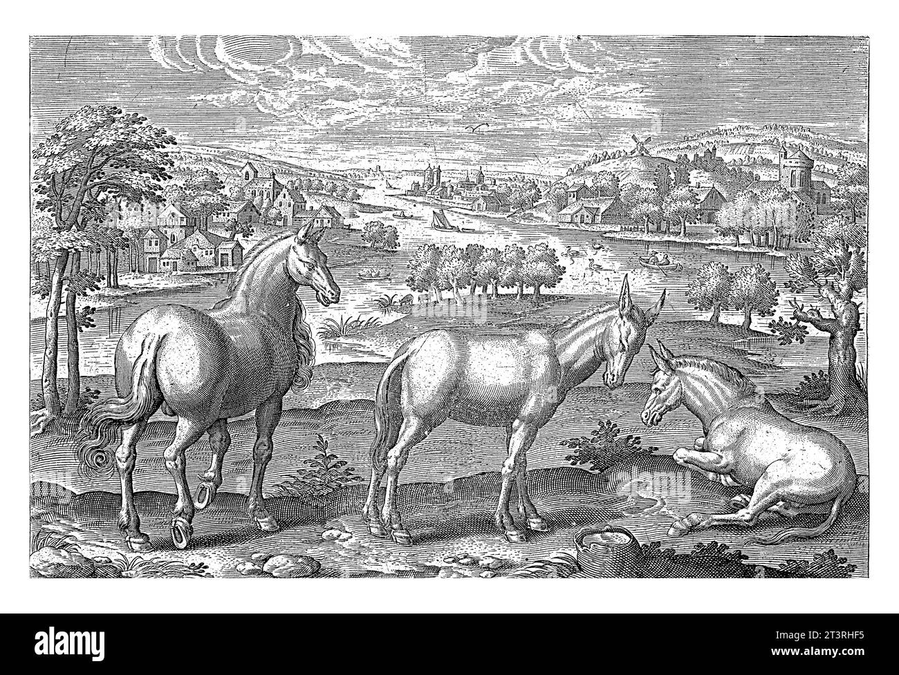 Cavallo e asini, Adriaen Collaert, 1595 - 1599 in primo piano due asini e un cavallo. Sullo sfondo un paesaggio con un fiume. Foto Stock