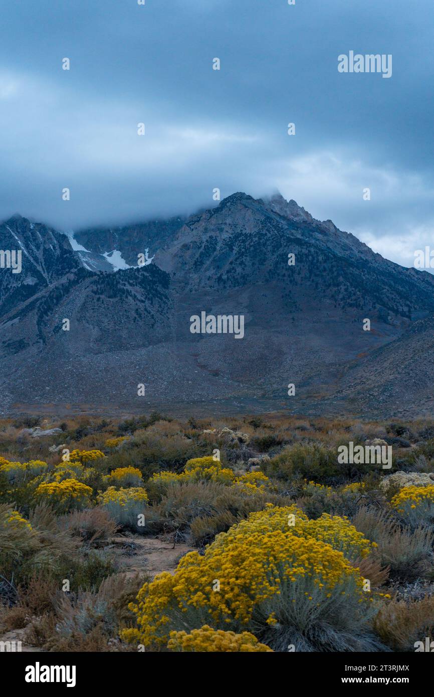 Mattinata nuvolosa a Buttermilks, ai piedi delle montagne della Sierra Nevada a Bishop California. Colori autunnali e montagne innevate con la Foto Stock