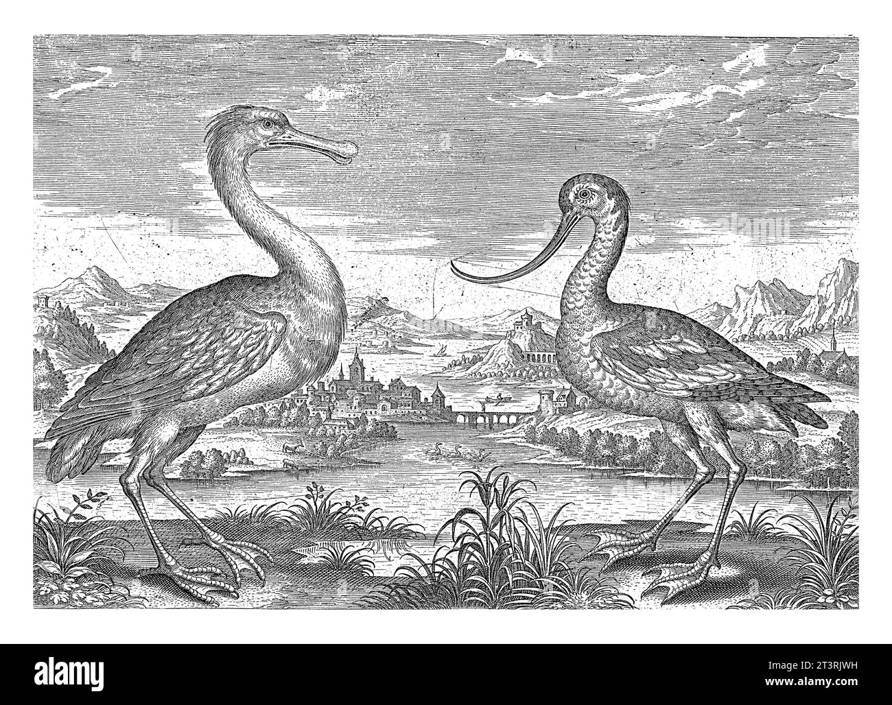 Due uccelli in un paesaggio fluviale, Adriaen Collaert, 1598 - 1602 Una spatola e un'avoceta in primo piano. Sullo sfondo un paesaggio fluviale. Foto Stock