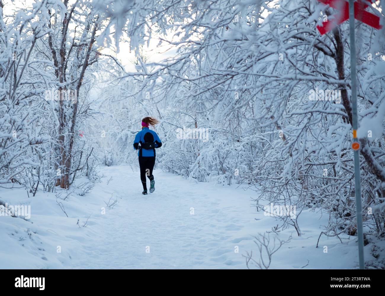 Kiruna, Svezia - 2 dicembre 2022: Una ragazza che corre su un sentiero selvaggio coperto di neve in inverno nel Parco Nazionale di Abisko Foto Stock