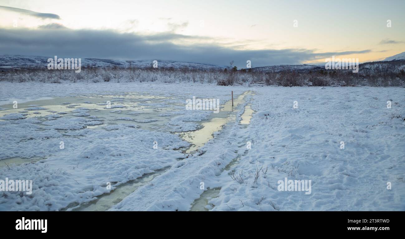 Paesaggio invernale nel Parco Nazionale di Abisko Foto Stock