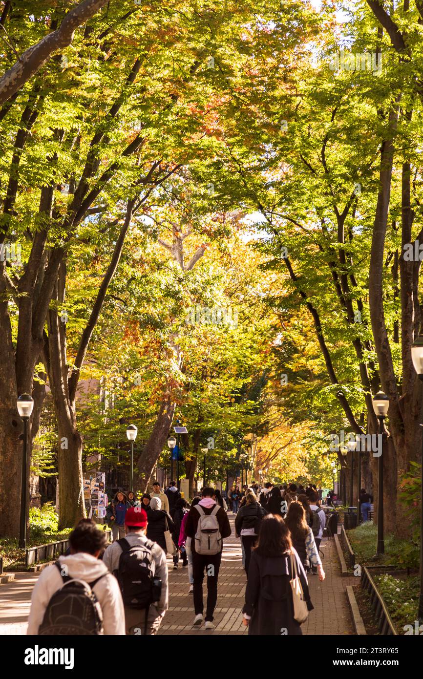 Locust a piedi con gli studenti in caduta, University of Pennsylvania, città universitaria area, Philadelphia, PA, Stati Uniti d'America Foto Stock