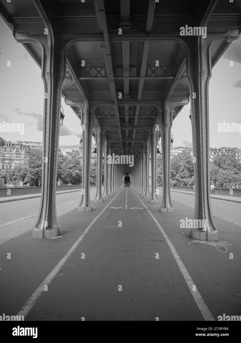 Una foto in bianco e nero del ponte Bir Hakeim a Parigi. Un luogo famoso e storico visto in molti film. Foto Stock