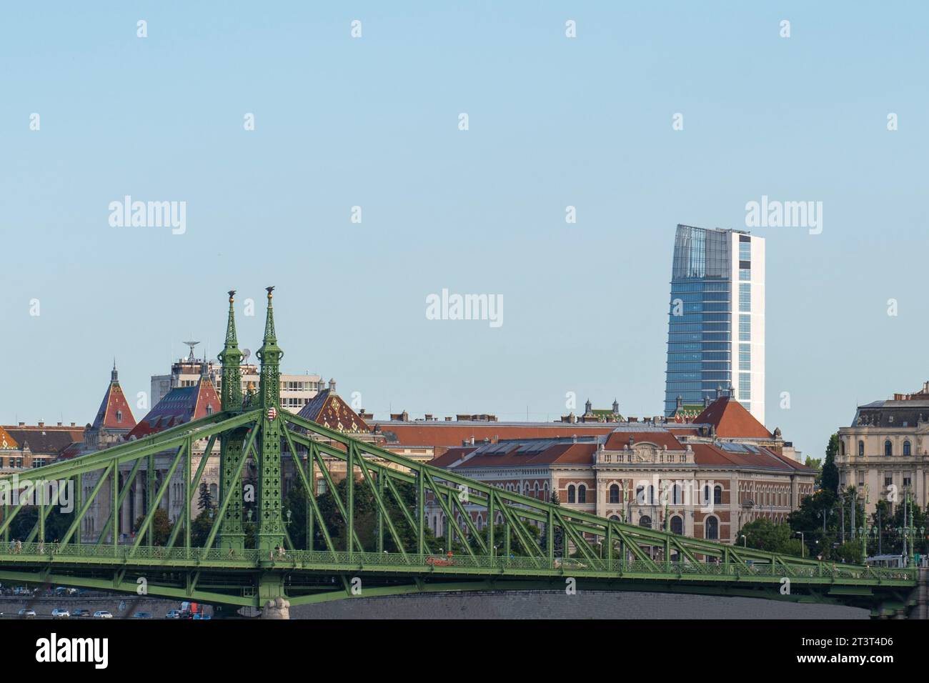 Ponte della libertà (ponte della libertà) sul fiume Danubio, con un nuovo blocco di torri sullo sfondo. Budapest, Ungheria Foto Stock