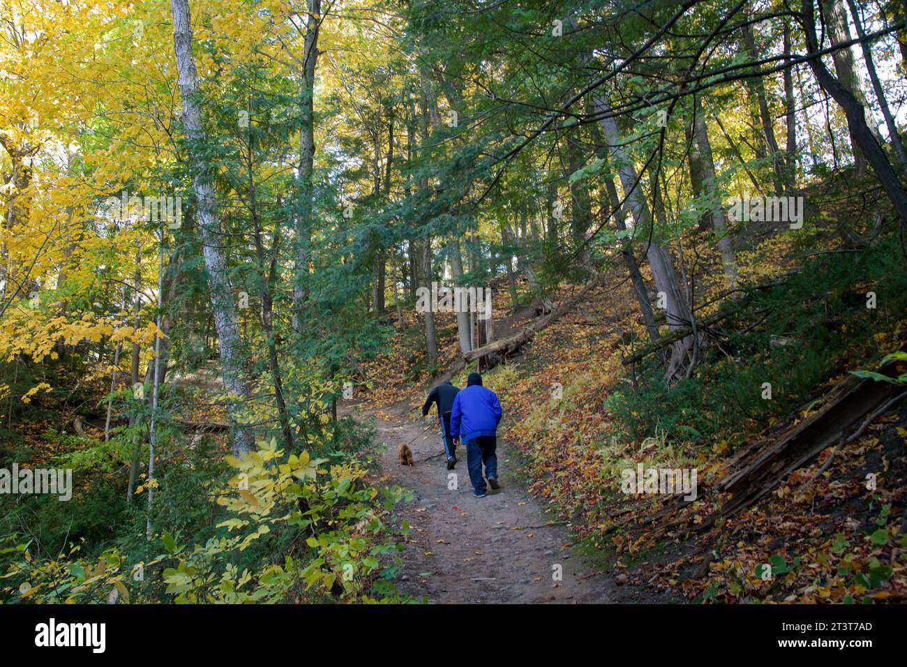 Due uomini che camminano nel parco pubblico in autunno Foto Stock