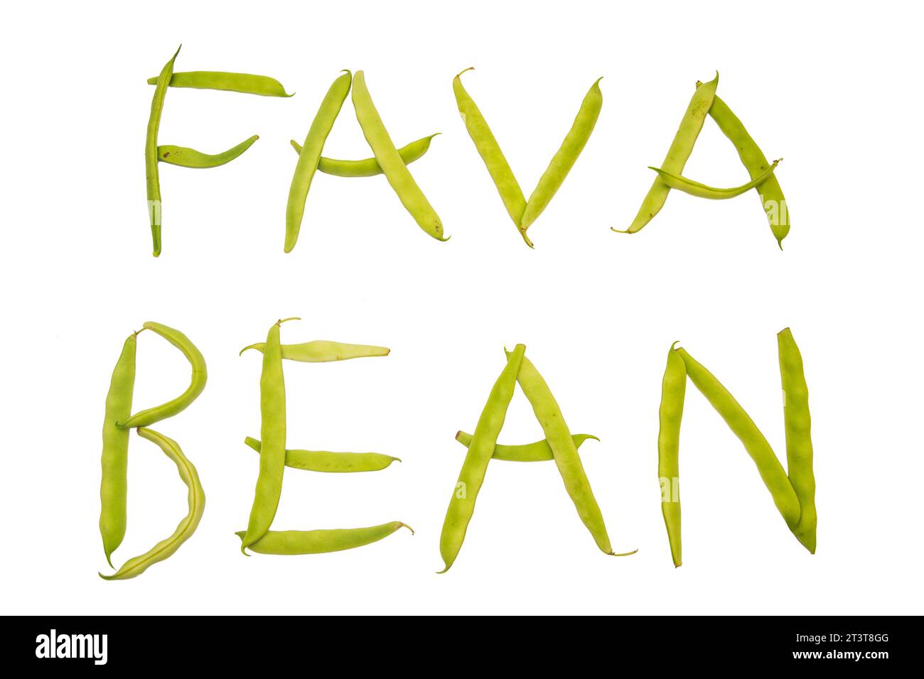 Testo dei fagioli di fava scritto su sfondo bianco con i fagioli stessi Foto Stock