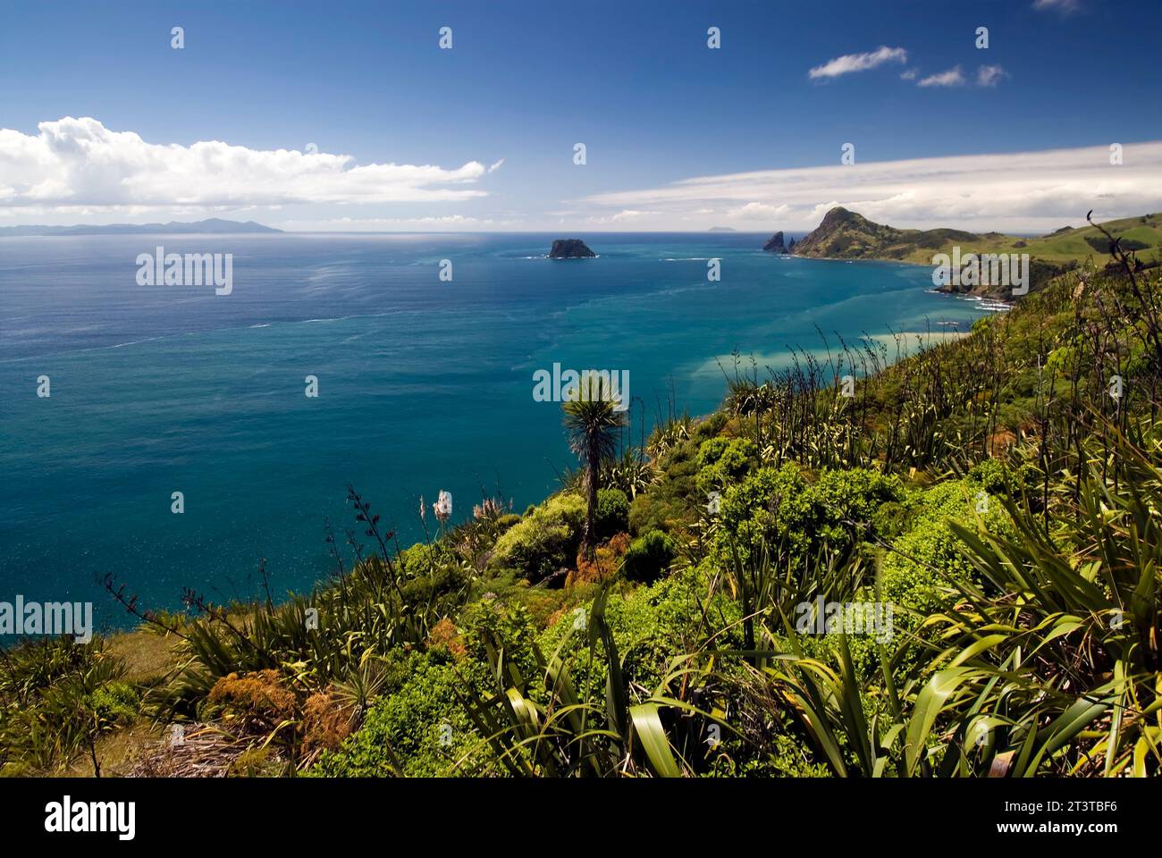 Costa idilliaca della cima della penisola di Coromandel sull'Isola del Nord, nuova Zelanda Foto Stock